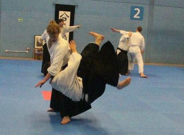 Aikido throw