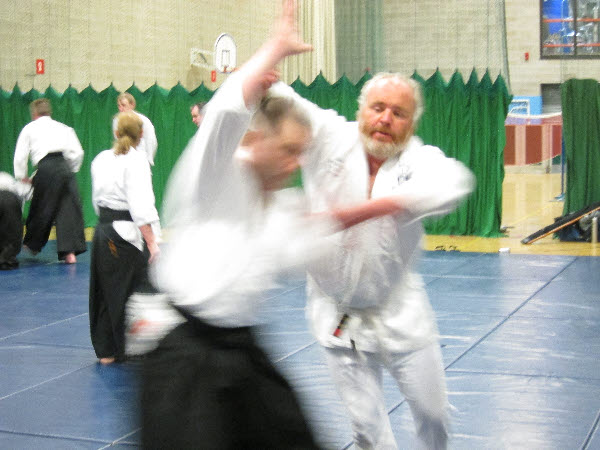 LAter stage of Nikkyo imobilisation