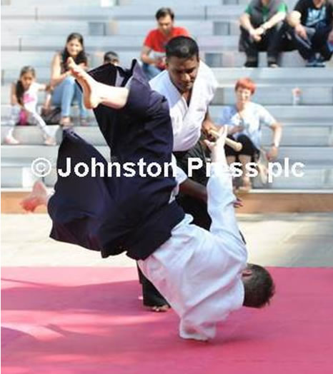 Demo Summer 2013 - Harris Steps